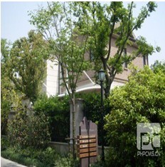 膜結構車棚訂制